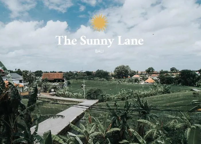 The Sunny Lane Villa *