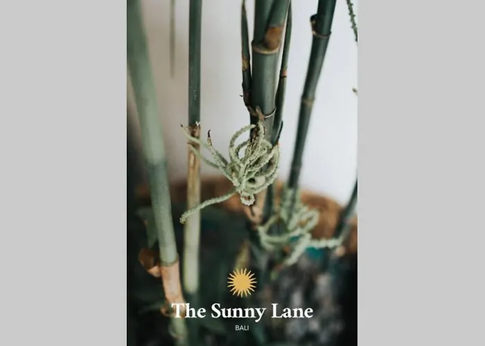 The Sunny Lane Villa